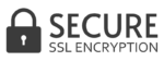 SSl logo